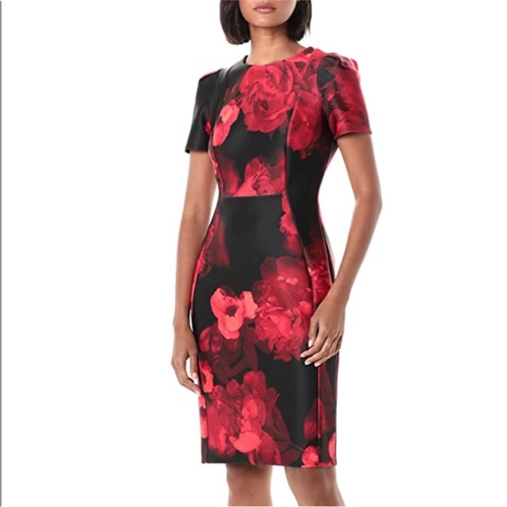Calvin Klein Red and Black Sheath Dress Short Sleeve Midi